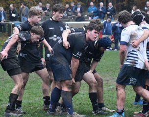 dsc_4434-6.jpg - JPEG - 484.4 ko - 2000×1580 px