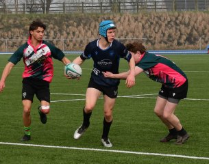 dsc_0781-4.jpg - JPEG - 325.8 ko - 1500×1181 px