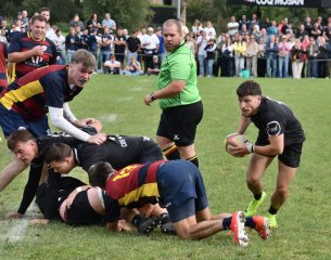 dsc_2580-2.jpg - JPEG - 345.2 ko - 1500×1183 px