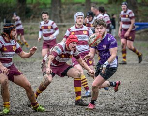 _nz81882-avec_accentuation-bruit.jpg - JPEG - 285.9 ko - 1024×805 px