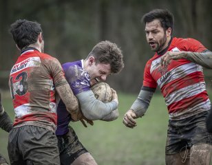 04022024-_nz88148-avec_accentuation-bruit.jpg - JPEG - 710.9 ko - 1024×799 px