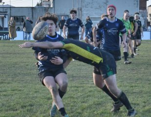 dsc_4936-6.jpg - JPEG - 274.3 ko - 1689×1314 px