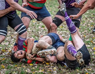 z63_4515.jpg - JPEG - 328 ko - 1024×796 px