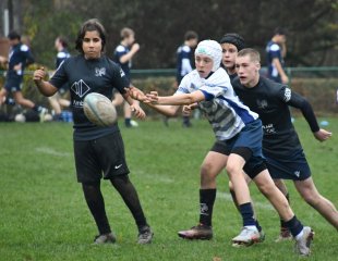 dsc_4313-3.jpg - JPEG - 377.4 ko - 2000×1551 px