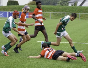 _46a2765.jpg - JPEG - 508.8 ko - 2000×1546 px