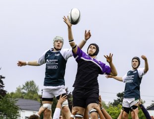 _46a2831.jpg - JPEG - 311.2 ko - 2000×1547 px