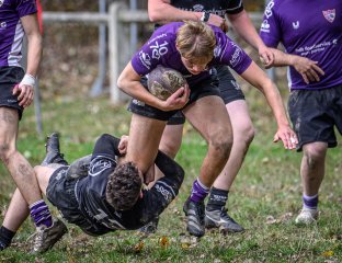 _nz86150.jpg - JPEG - 282.5 ko - 1024×790 px