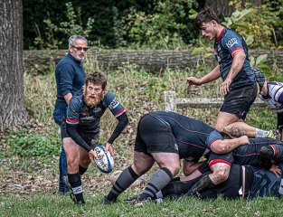 29102023-_nz84821-avec_accentuation-bruit.jpg - JPEG - 364.2 ko - 1024×786 px