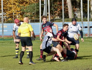 gp5f4546.jpg - JPEG - 721.8 ko - 2000×1535 px