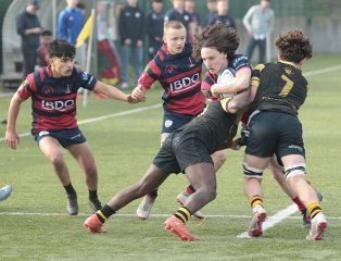 gp5f1152.jpg - JPEG - 452.9 ko - 2000×1529 px