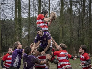 04022024-_nz87888-avec_accentuation-bruit.jpg - JPEG - 762.9 ko - 1024×776 px