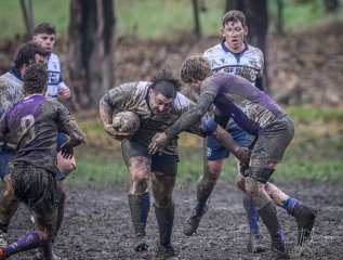 _nz87434-2.jpg - JPEG - 238.9 ko - 1024×776 px