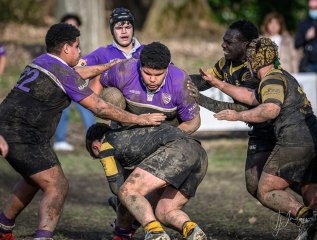 _nz88155.jpg - JPEG - 245.1 ko - 1024×777 px