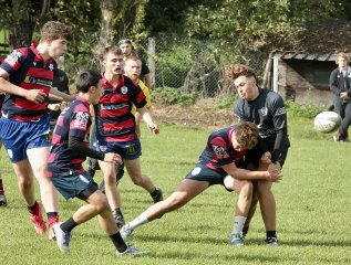 gp5f3806.jpg - JPEG - 722.3 ko - 2000×1515 px