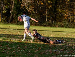 dsc08630.jpg - JPEG - 376 ko - 2000×1332 px