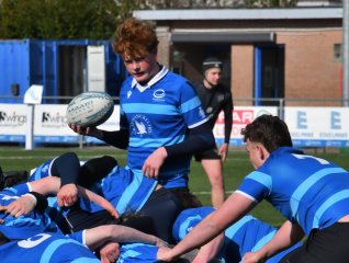 dsc_1464-2.jpg - JPEG - 362.1 ko - 2000×1514 px