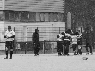 4d5a1437.jpg - JPEG - 586.5 ko - 2000×1506 px