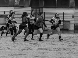 4d5a1466.jpg - JPEG - 373 ko - 2000×1506 px