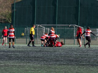 4d5a1529.jpg - JPEG - 988.5 ko - 2000×1506 px