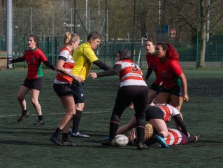 4d5a1541.jpg - JPEG - 538 ko - 2000×1507 px