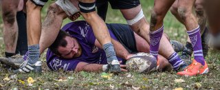 _nz86075.jpg - JPEG - 191.4 ko - 1024×417 px