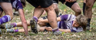 _nz85961.jpg - JPEG - 194.7 ko - 1024×429 px