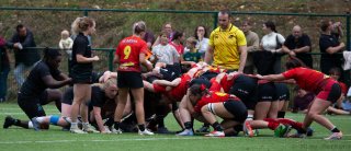 img_7277.jpg - JPEG - 316.1 ko - 2000×862 px