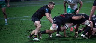 img_6307-4.jpg - JPEG - 317.9 ko - 2000×897 px