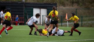 img_7111-2.jpg - JPEG - 258.4 ko - 2000×898 px