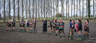 _nz88913.jpg - JPEG - 276.7 ko - 1024×463 px