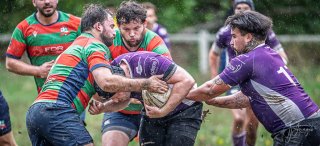 _nz85739.jpg - JPEG - 197.1 ko - 1024×467 px