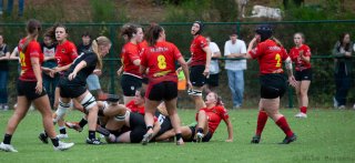 img_7253.jpg - JPEG - 322 ko - 2000×916 px