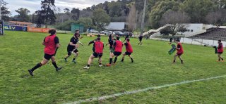 whatsapp_image_2026-01-17_at_15.46_18_1_.jpg - JPEG - 474.7 ko - 2000×924 px