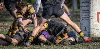 _nz88231.jpg - JPEG - 205.8 ko - 1024×500 px