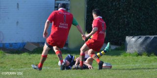 dsc_0950-2.jpg - JPEG - 267.2 ko - 2000×1000 px