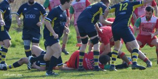 dsc_1001-5.jpg - JPEG - 351.8 ko - 2000×1000 px