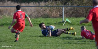 dsc_1016-5.jpg - JPEG - 343.2 ko - 2000×1000 px