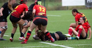 img_7258.jpg - JPEG - 372.7 ko - 2000×1033 px