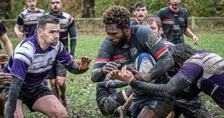29102023-_nz85154-avec_accentuation-bruit.jpg - JPEG - 224.3 ko - 1024×538 px