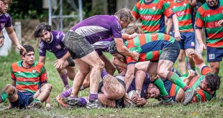 _nz85639.jpg - JPEG - 279.8 ko - 1024×544 px