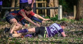 _nz86904.jpg - JPEG - 216.3 ko - 1024×545 px