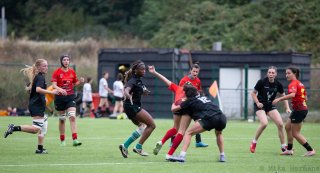 img_7301-2.jpg - JPEG - 327.6 ko - 2000×1081 px