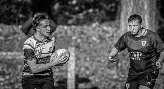 _nz86912.jpg - JPEG - 130.8 ko - 1024×556 px