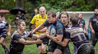 29102023-_nz85148-avec_accentuation-bruit.jpg - JPEG - 188.2 ko - 1024×558 px