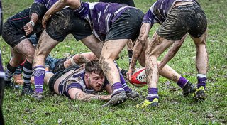 29102023-_nz84981-avec_accentuation-bruit.jpg - JPEG - 340.2 ko - 1024×562 px