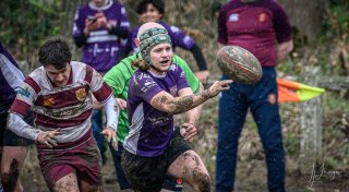 _nz81955-avec_accentuation-bruit.jpg - JPEG - 192.2 ko - 1024×563 px