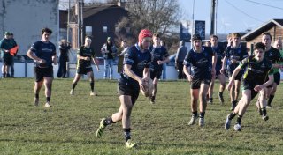 dsc_4891-5.jpg - JPEG - 1.3 Mo - 4517×2478 px