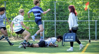 img_0181-4.jpg - JPEG - 526.7 ko - 2000×1099 px