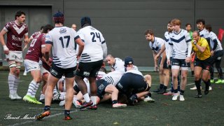 02-43.jpg - JPEG - 199.2 ko - 1000×652 px