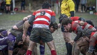 04022024-_nz87898-avec_accentuation-bruit.jpg - JPEG - 561.6 ko - 1024×573 px